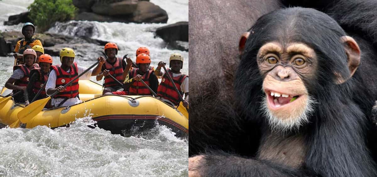 10 Days Water rafting and Primates safari