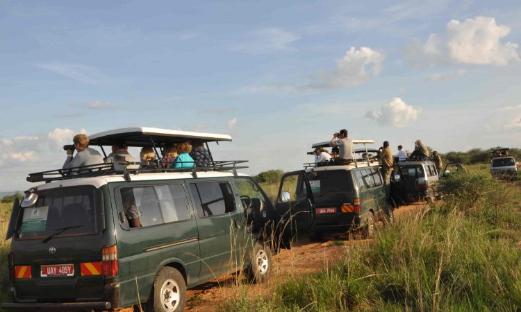 Budget Safaris to Uganda