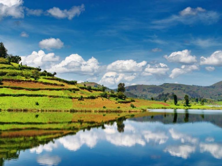 best time to visit uganda lonely planet