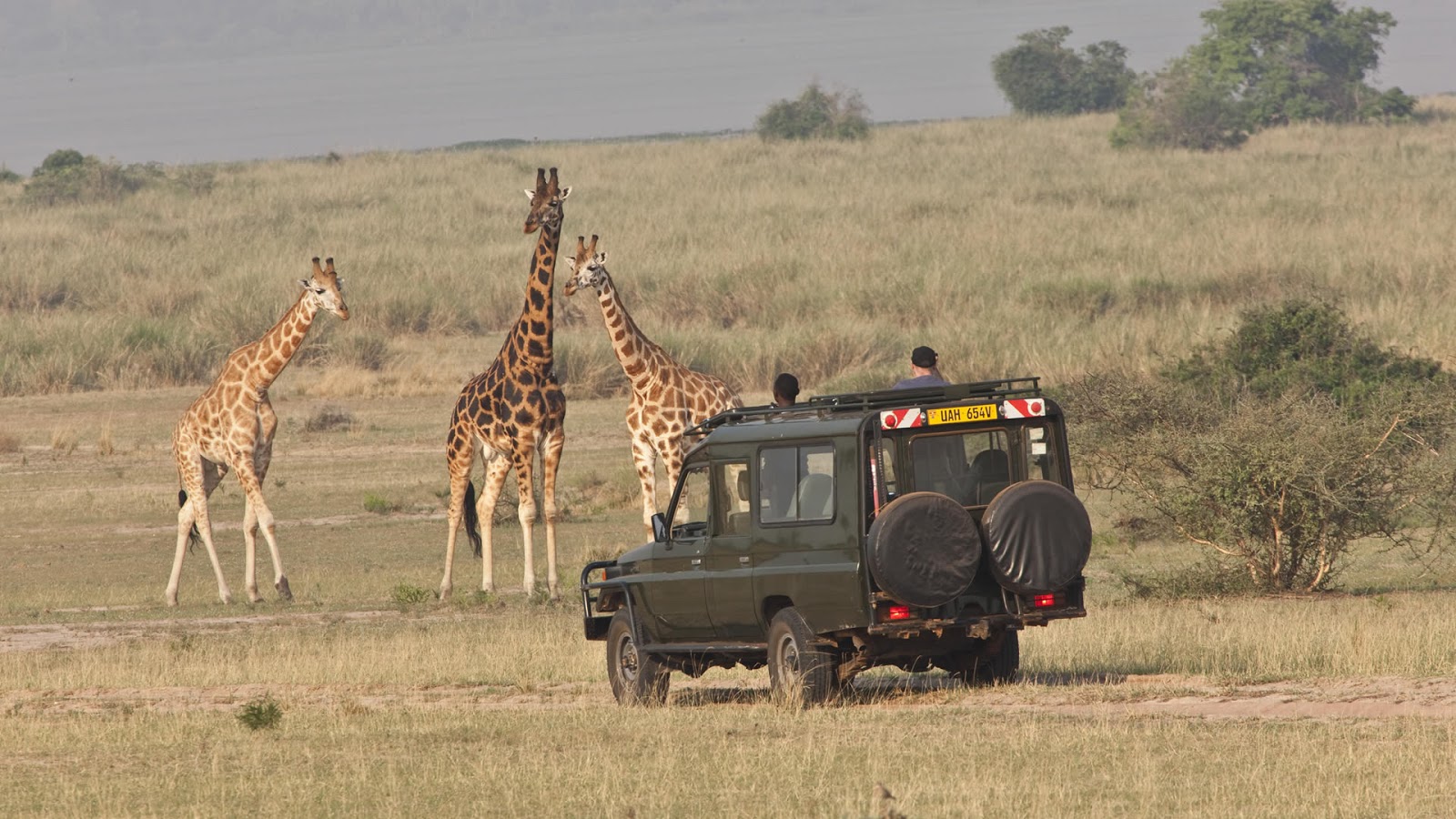 Game Drive in Uganda | Uganda Safari Tours | Wildlife Safari Tours