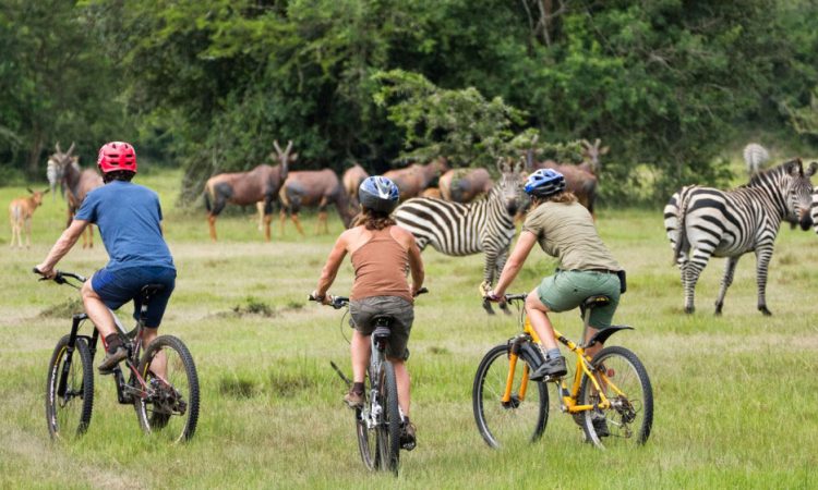 Bicycle Safari in Lake Mburo National Park
