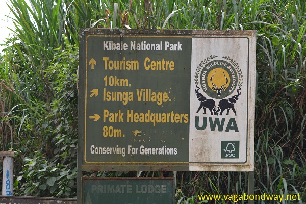 Entrance Fees for Kibale National Park