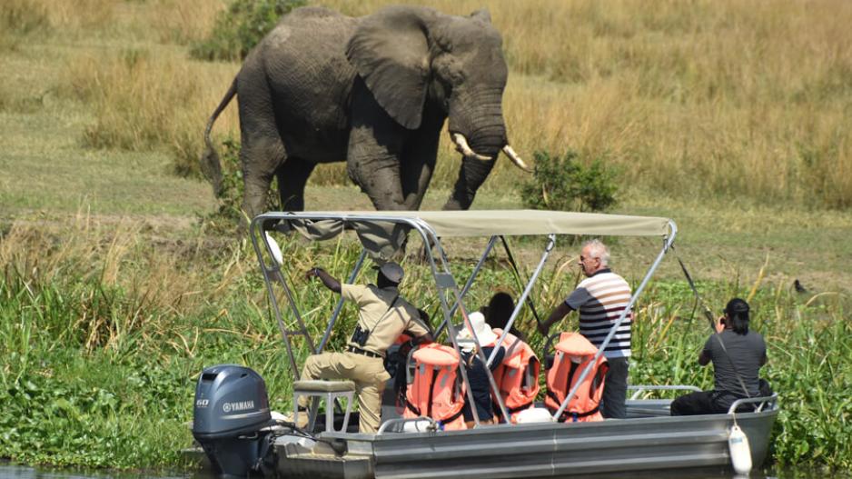 Facts & Why safari tour guides are important?