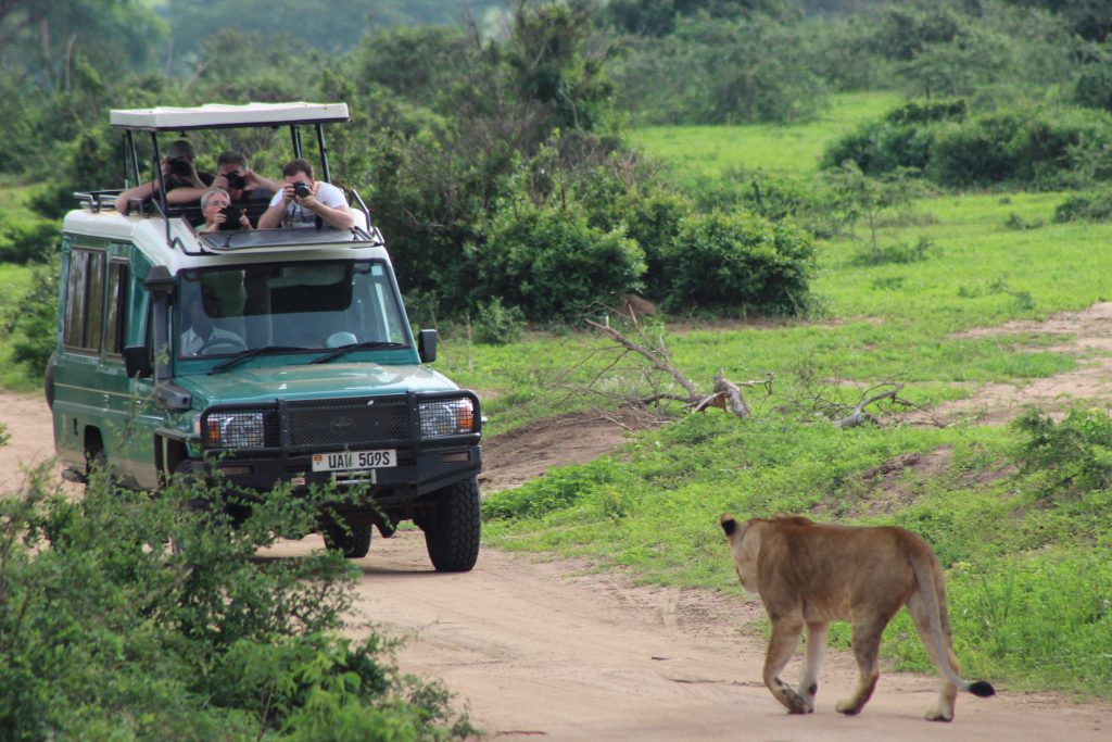 Things to do in Murchison Falls National Park