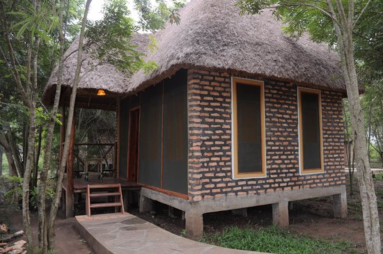 Irungu Forest Safari Lodge & Campsite