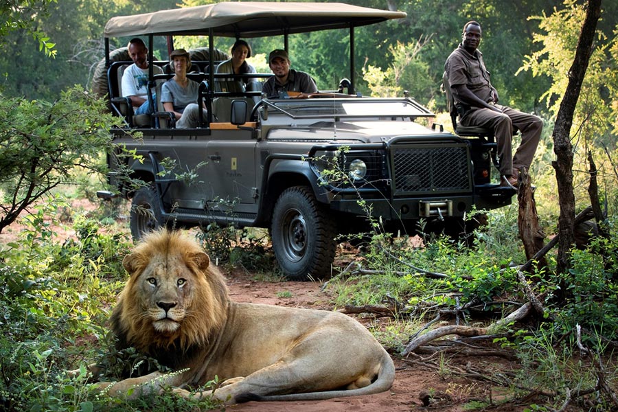 Do I a need a safari tour guide?