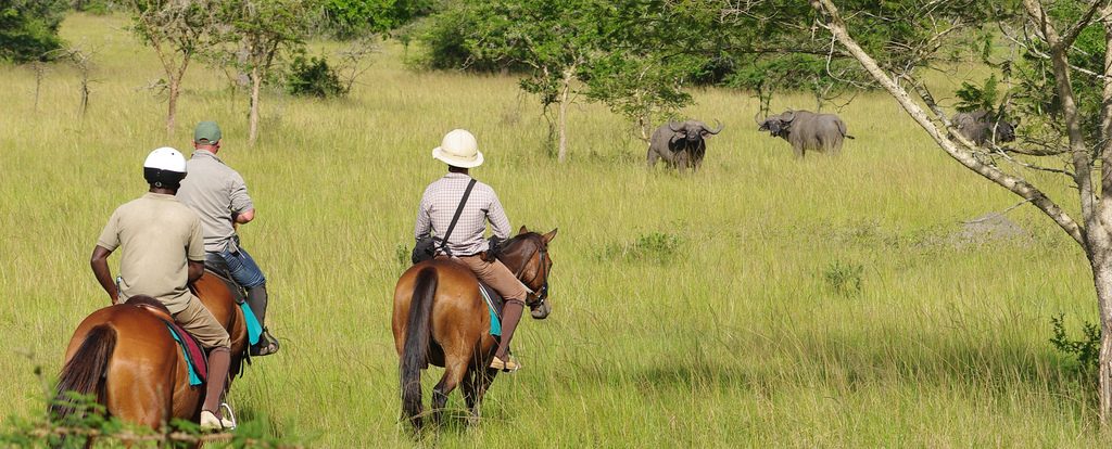 List of activities to do in Lake Mburo national park